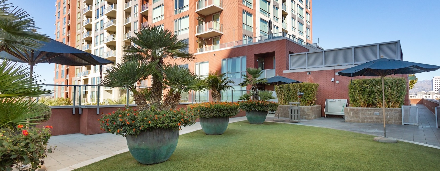 a building with a lawn and trees